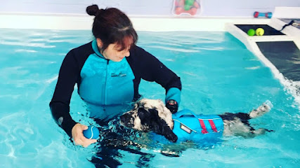 New Forest K9 Hydrotherapy