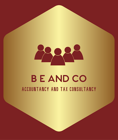 profile picture of Brett Estry and co. Accountancy services for startups. Business consultancy. profile picture