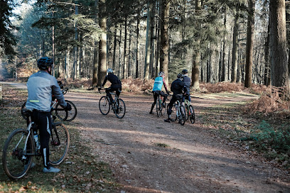 New Forest Cycling - Burley