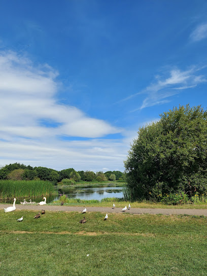 Moors Valley Country Park & Forest