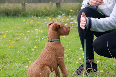 profile picture of The Canine Academy Training & Behaviour profile picture