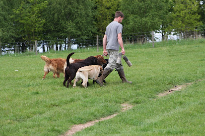 profile picture of Fallowfen Training Kennels profile picture