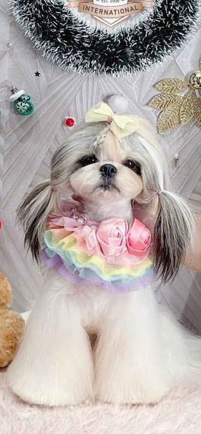 profile picture of Furlishous Dog & Cat grooming salon, Groomer training center profile picture