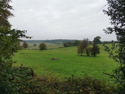 Snelsmore Common