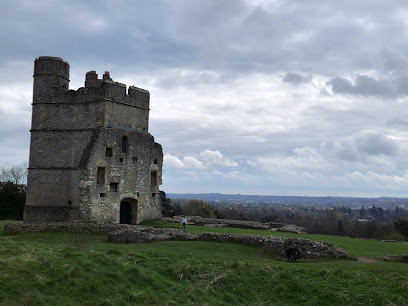 profile picture of Donnington Castle profile picture