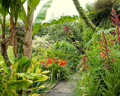 Alan's Jungle Plants
