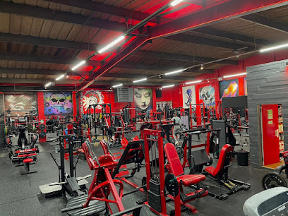 Performance Gym Scotland