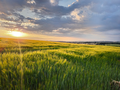 profile picture of Lincolnshire Wolds AONB profile picture