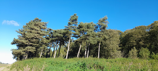 profile picture of Burton-upon-Stather Primary School