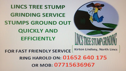 Lincolnshire Tree Stump Grinding Service