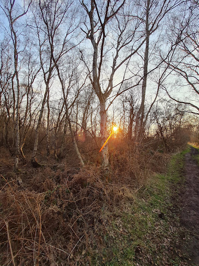 profile picture of Crowle Moors