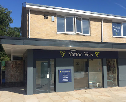 profile picture of Yatton Vets profile picture