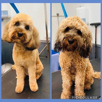 profile picture of The Pet Studio Dog Grooming & Training Academy