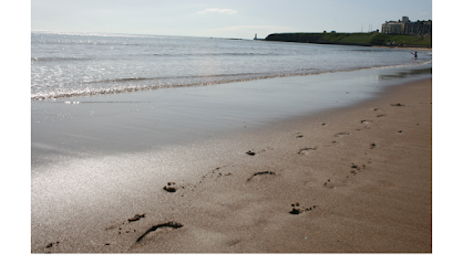 Longsands Rehabilitation