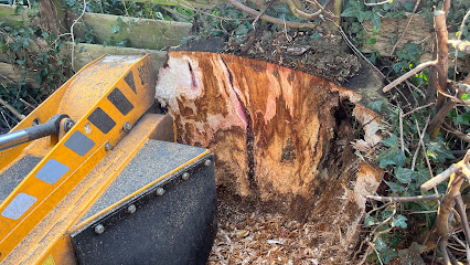 profile picture of Tree Stump Solutions | Tree Stump Grinding Northampton profile picture