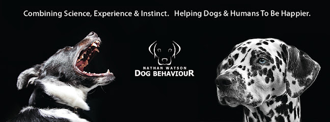 Nathan Watson Dog Behaviour