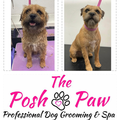 profile picture of The Posh Paw Dog Grooming & Spa profile picture