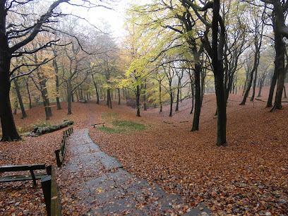 profile picture of Tandle Hill Country Park profile picture