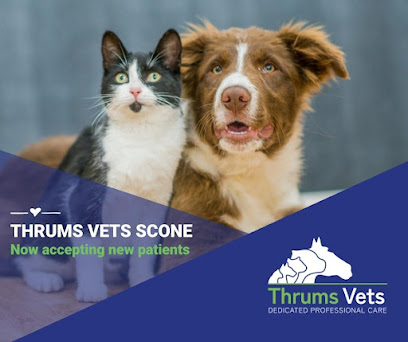 Thrums Vets Scone