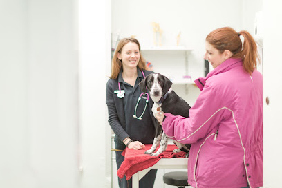 profile picture of Pengelly & Mizen Veterinary Surgeons profile picture