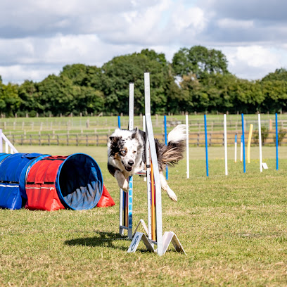 profile picture of WOF Dog Agility and activity centre profile picture