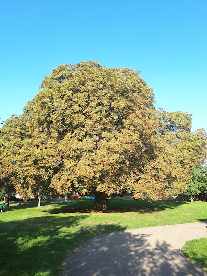 The Memorial Tree