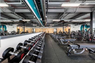 profile picture of PureGym Reading Basingstoke Road profile picture