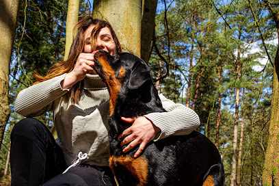 Dog Behaviourist & Trainer Canine Sense