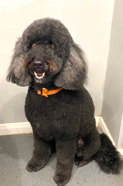 profile picture of Perfect Paws Dog Grooming profile picture