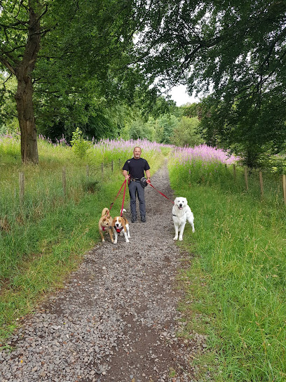 profile picture of Doggy Bliss Dog Walking Services