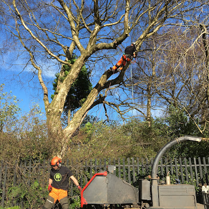 profile picture of Tree Wise Tree Surgeons