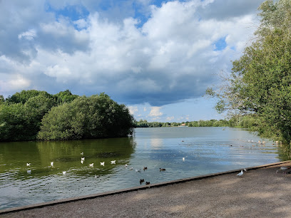 profile picture of Dinton Pastures Country Park profile picture