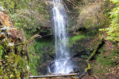 Craigie Linn (Waterfall)