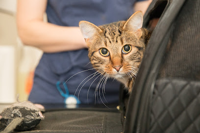 profile picture of Tonypandy Veterinary Clinic profile picture