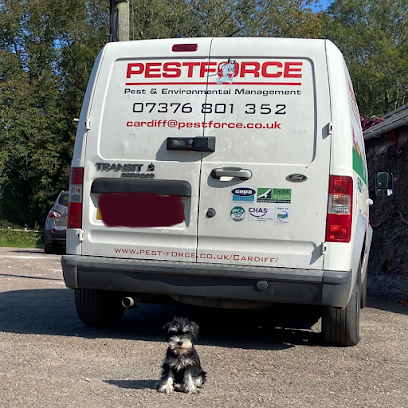 profile picture of Pestforce Pest Control Pontypridd profile picture