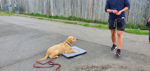 profile picture of Synchro Dog Sports, Training and Behaviour profile picture