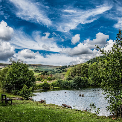 profile picture of Dare Valley Country Park and Gravity Family Bike Park profile picture