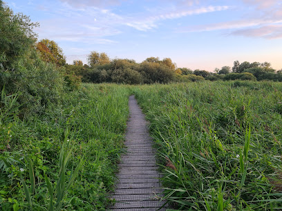 profile picture of Winnall Moors Nature Reserve profile picture