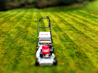 profile picture of GREENMAN LANDSCAPES Grounds Maintenance and Garden Services profile picture