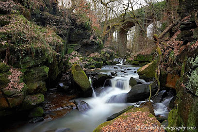 profile picture of Healey Dell Nature Reserve profile picture