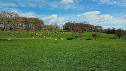 profile picture of Wentworth Woodhouse