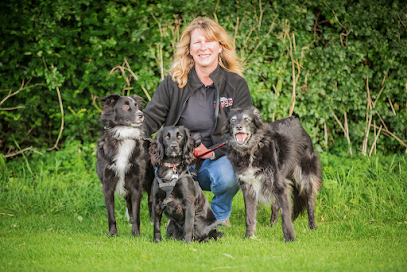 profile picture of We Love Pets Salisbury - Dog Walker, Pet Sitter & Home Boarder