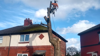 profile picture of Forever-tree’s Manchester tree surgeon and landscaping profile picture