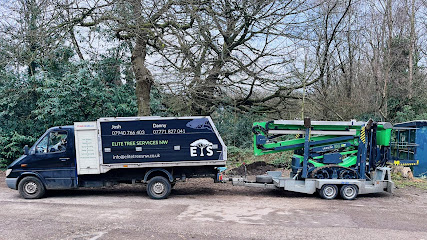 profile picture of Elite Tree Services NW profile picture