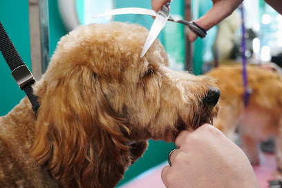 profile picture of Tender Touch Pet Salon