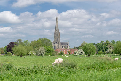 profile picture of Harnham Water Meadows profile picture