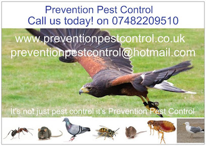 Prevention Pest Control