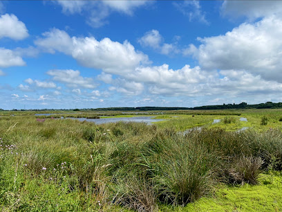 profile picture of Lunt Meadows Nature Reserve profile picture