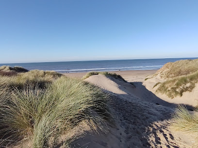 profile picture of National Trust - Formby profile picture