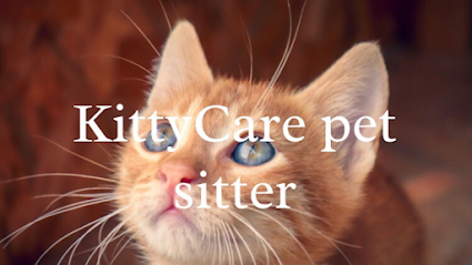 Kittycare pet sitter